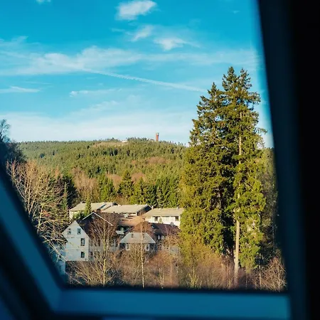 Fichte Braunlage